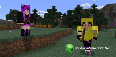 Ender Archer Friend Addon/Mod 1.13